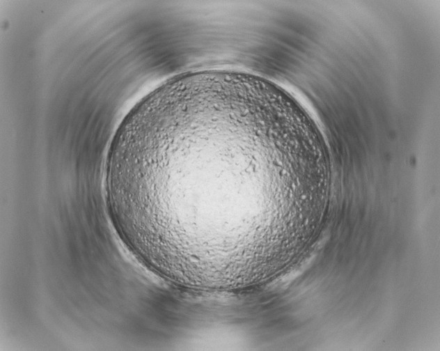 X0000087380957200705111732