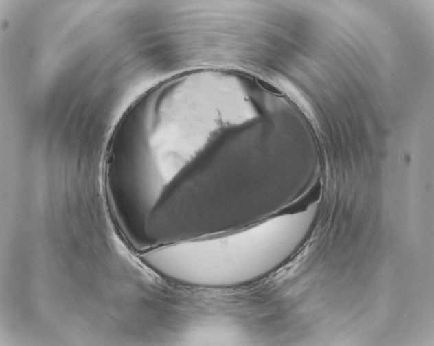 X0000087380958200705111732