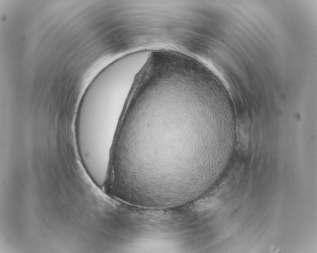 X0000087380959200705111732