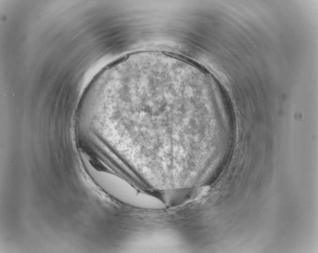 X0000087380960200705111732