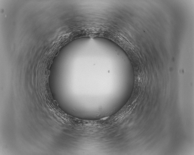 X0000087380961200705111731