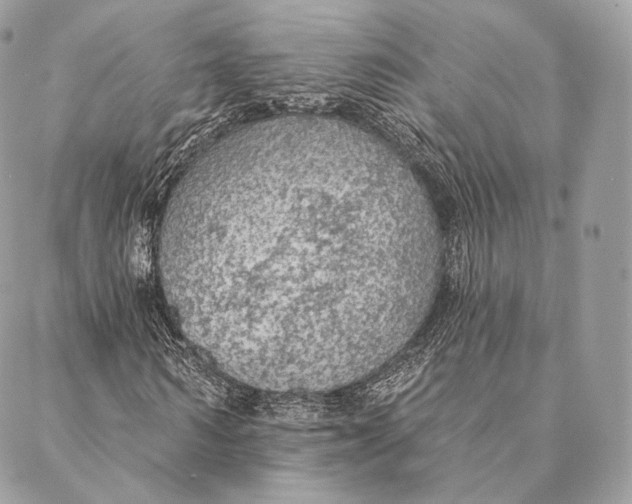 X0000087380962200705111731