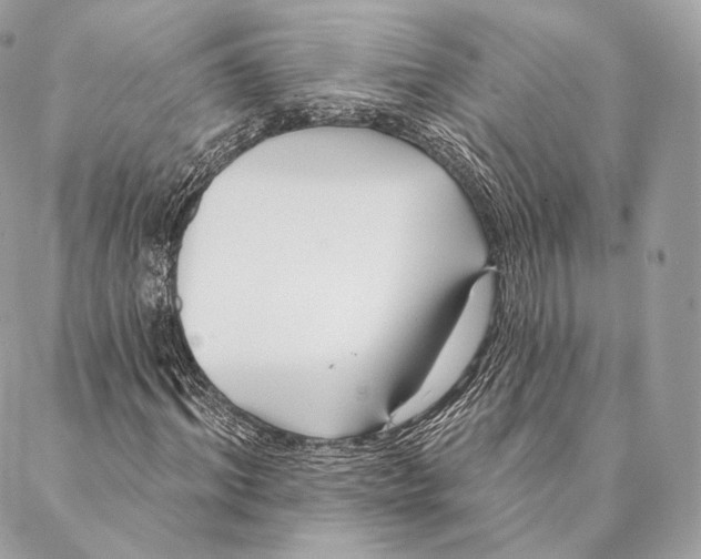 X0000087380964200705111731