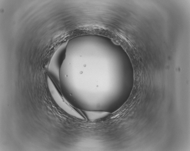 X0000087380965200705111731