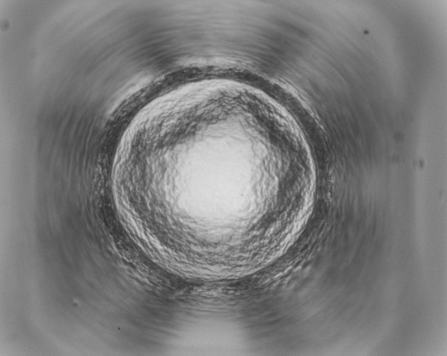 X0000087380967200705111731