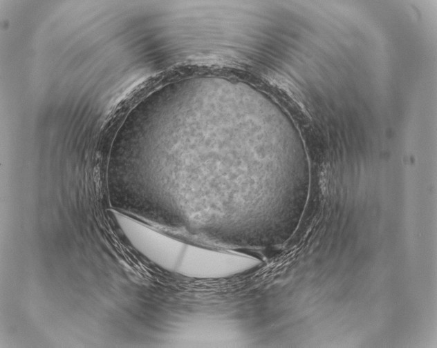 X0000087380968200705111731