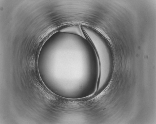 X0000087380969200705111731