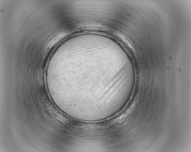 X0000087380970200705111731