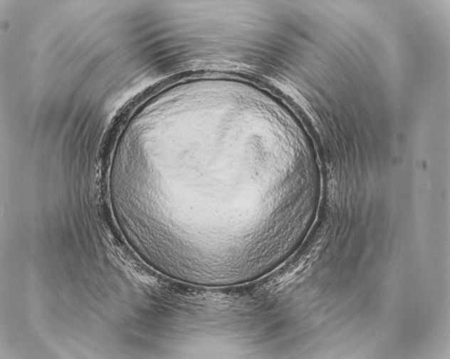 X0000087380971200705111731