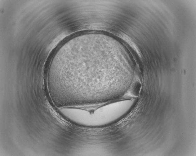 X0000087380972200705111731