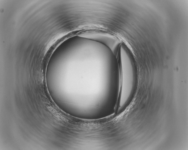 X0000087380973200705111731