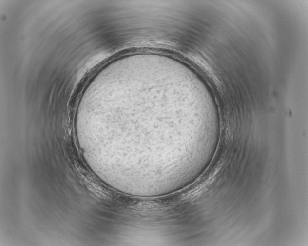 X0000087380974200705111731