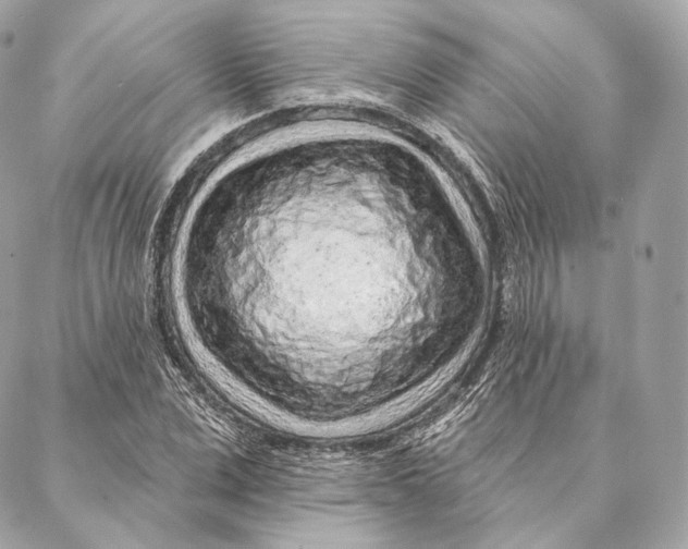 X0000087380975200705111731