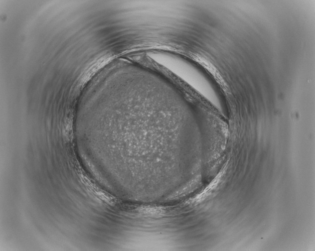 X0000087380977200705111731