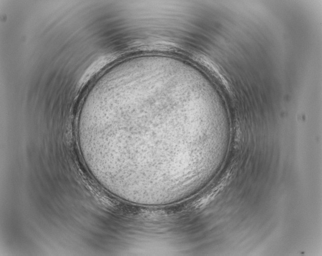 X0000087380978200705111731