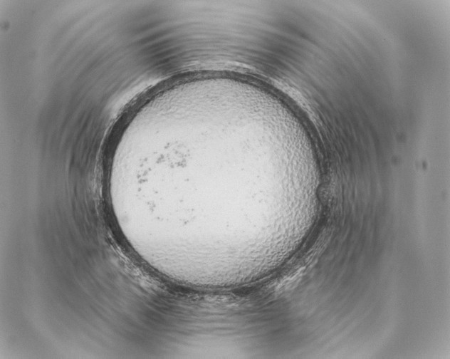 X0000087380979200705111731