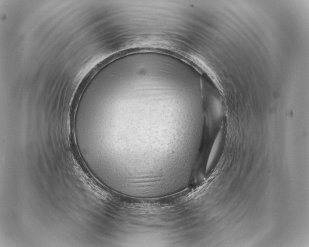 X0000087380980200705111731