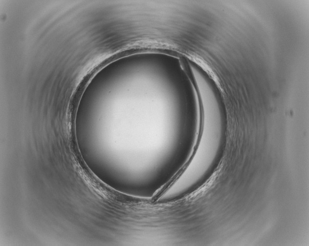 X0000087380981200705111731