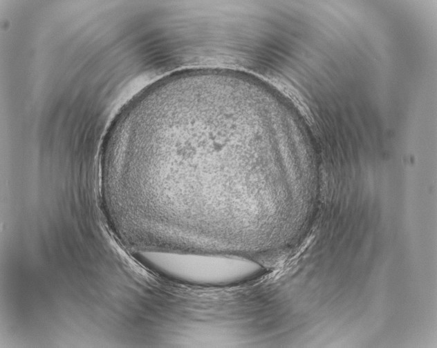 X0000087380982200705111731