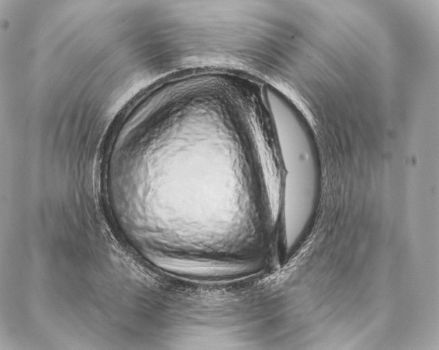 X0000087380983200705111731