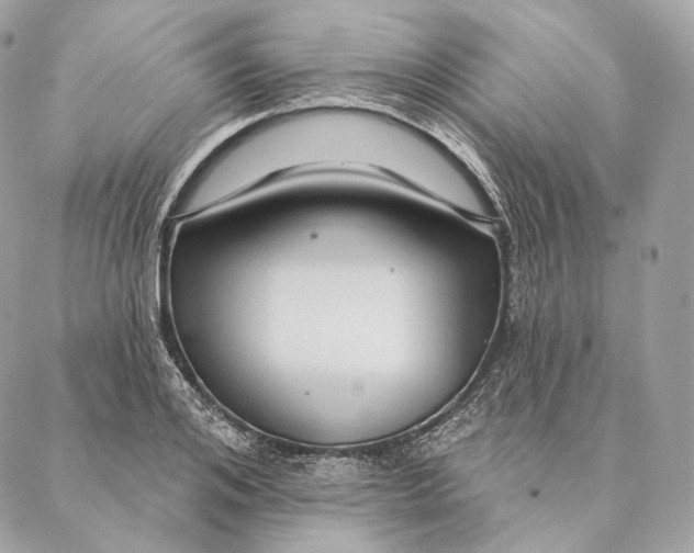 X0000087380984200705111731