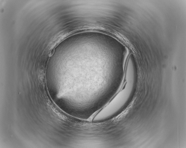 X0000087380985200705111731