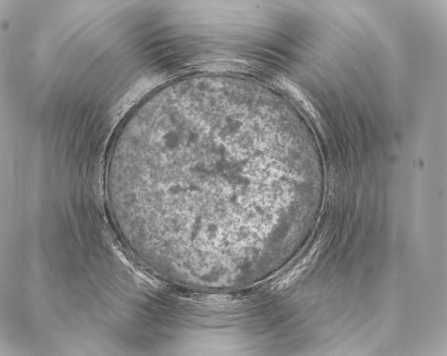 X0000087380986200705111731