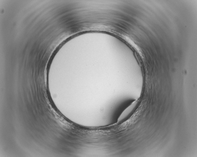 X0000087380988200705111731