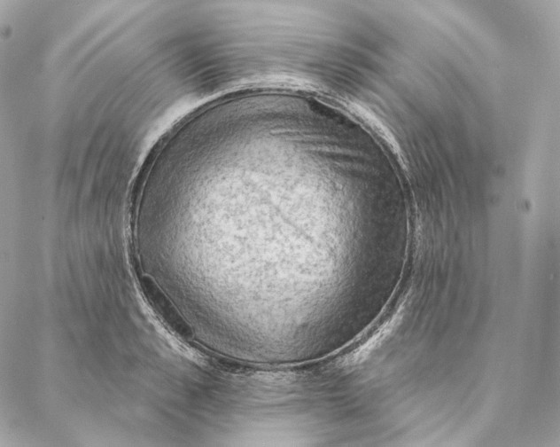 X0000087380989200705111731