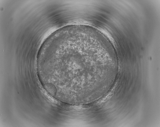 X0000087380990200705111731