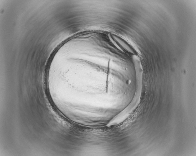 X0000087380991200705111731