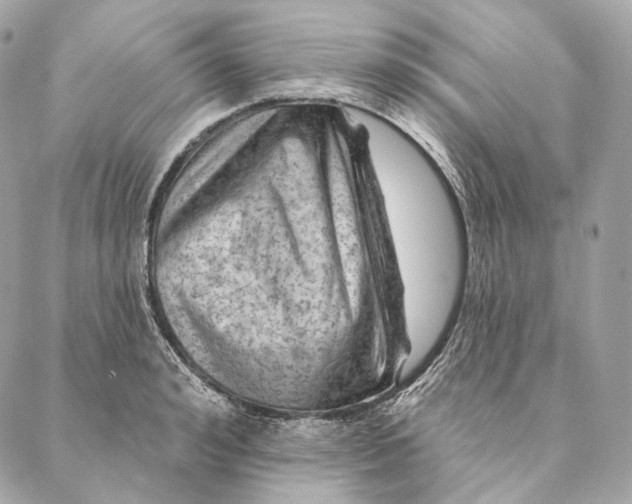 X0000087380992200705111731