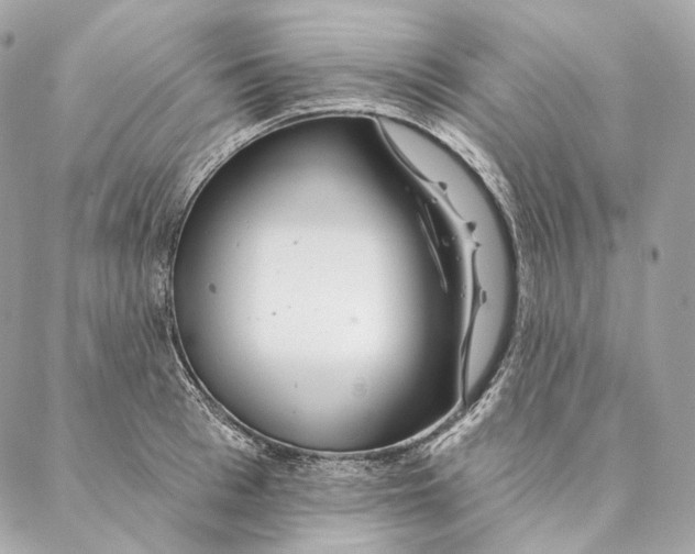 X0000087380993200705111731