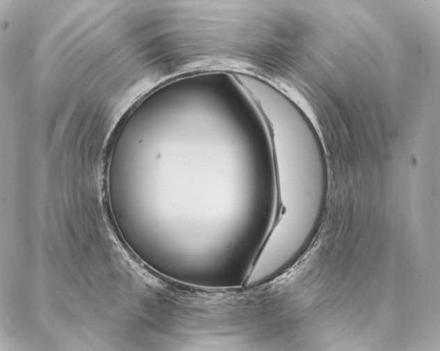 X0000087380997200705111731