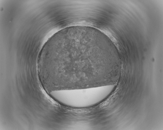 X0000087380998200705111731