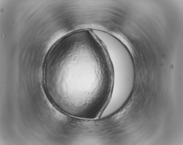 X0000087380999200705111731