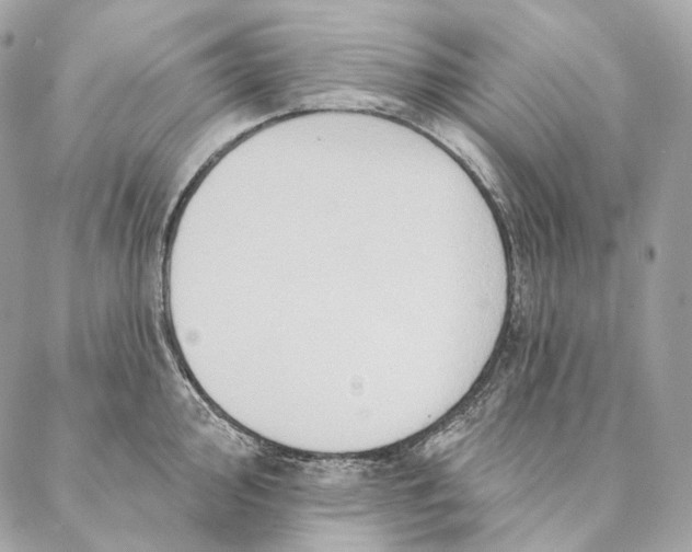 X0000087381000200705111731