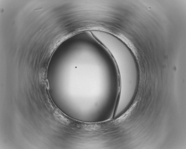 X0000087381001200705111731