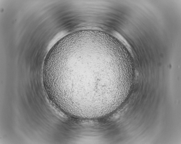 X0000087381002200705111731