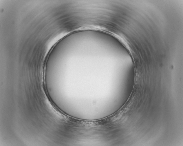 X0000087381003200705111731