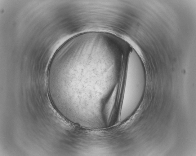 X0000087381004200705111731