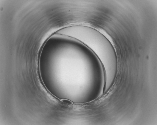 X0000087381005200705111731