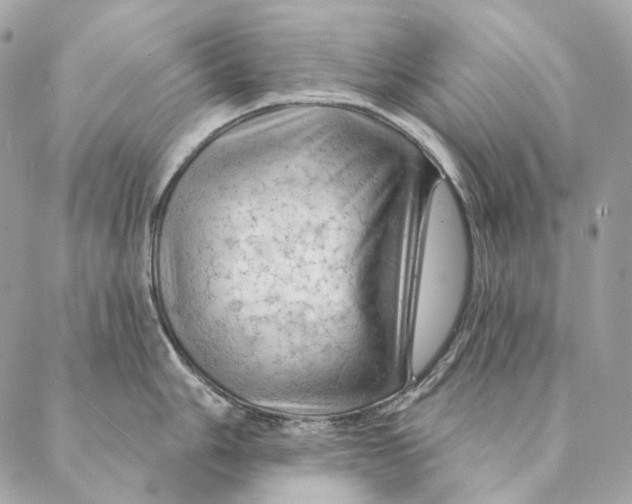 X0000087381006200705111731