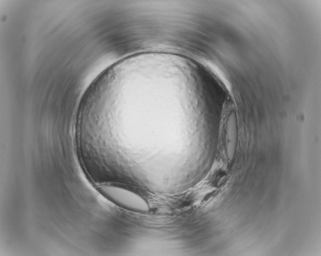 X0000087381007200705111731