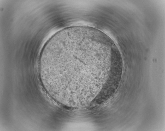 X0000087381008200705111731