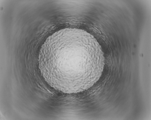 X0000087381009200705111730