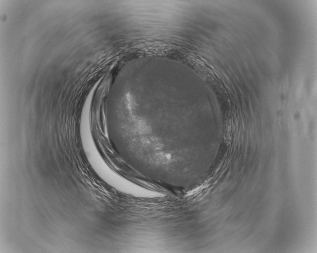 X0000087381010200705111730