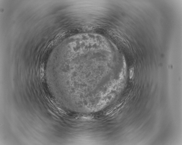 X0000087381011200705111730