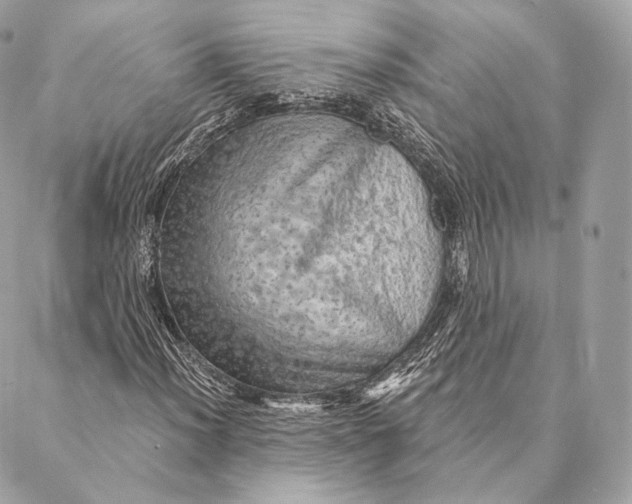 X0000087381012200705111730