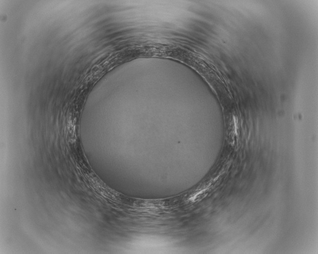 X0000087381013200705111730